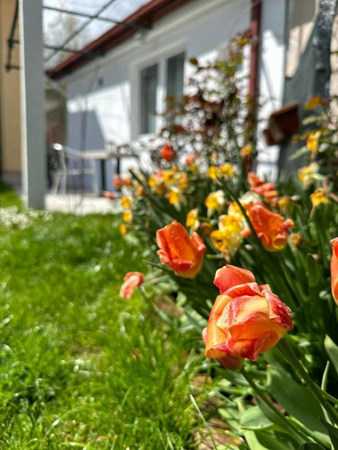 Apartmani Emily & Jully Никшич Экстерьер фото